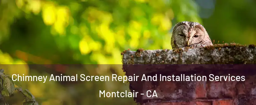  Chimney Animal Screen Repair And Installation Services Montclair - CA