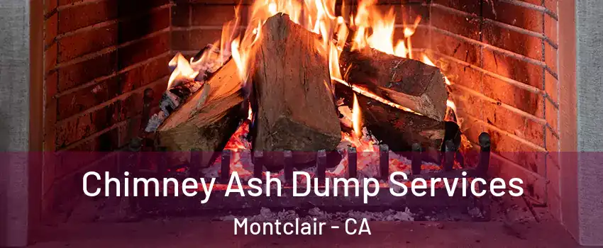  Chimney Ash Dump Services Montclair - CA