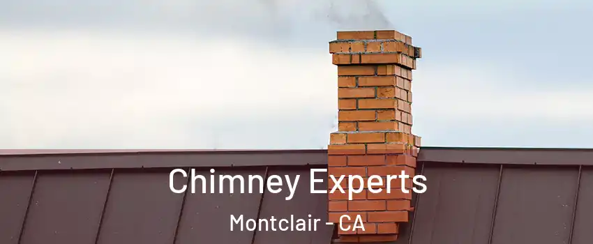  Chimney Experts Montclair - CA
