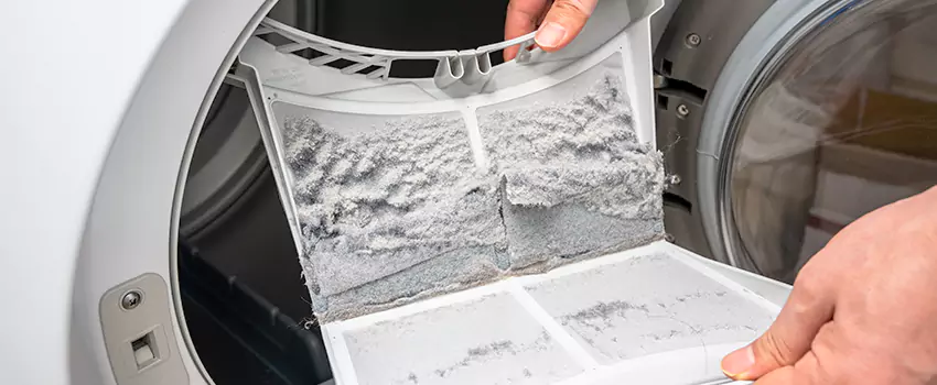 Best Dryer Lint Removal Company in Montclair, California